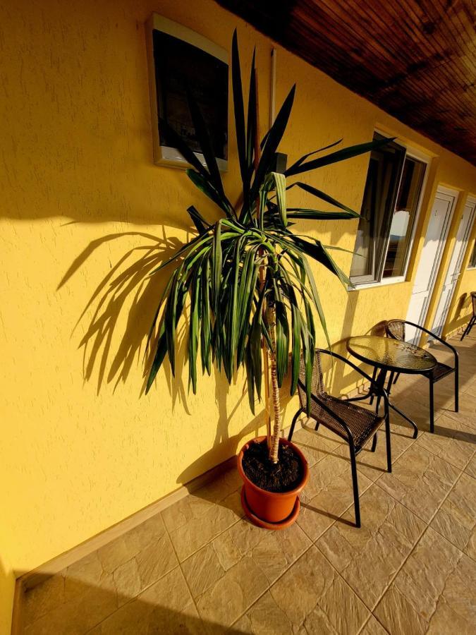 Cabana Varad Coronini Moldova Veche Екстериор снимка